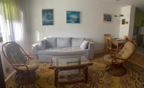 Apartman 3S Pale, Jahorina